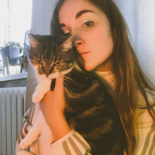 Must Sebra Profile Image