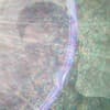 Niran Mantin Profile Image