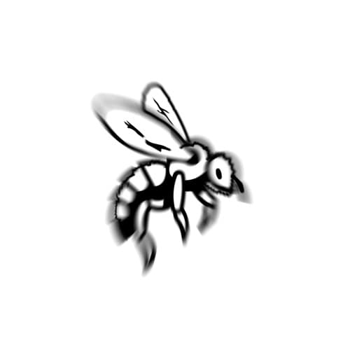 Abeja Trax portrait