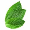Sistema Profile Image