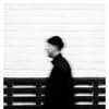 incipiens Profile Image