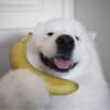 awryly Profile Image