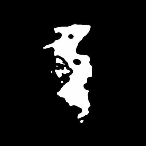 Consul portrait