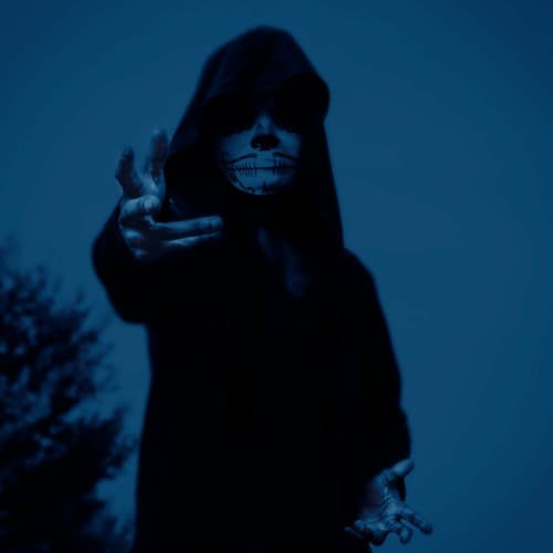 JÆLBIRD Profile Image