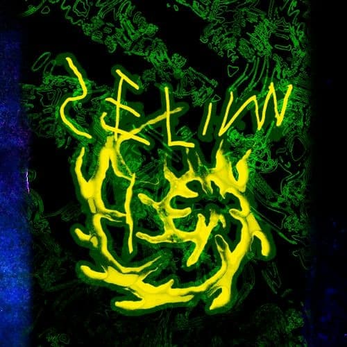 SELIM HEX portrait