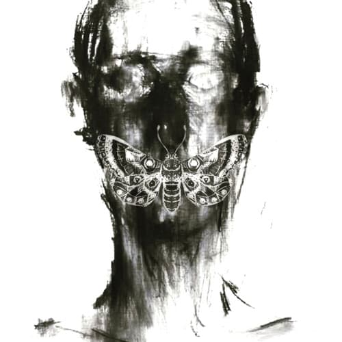 BackForth portrait