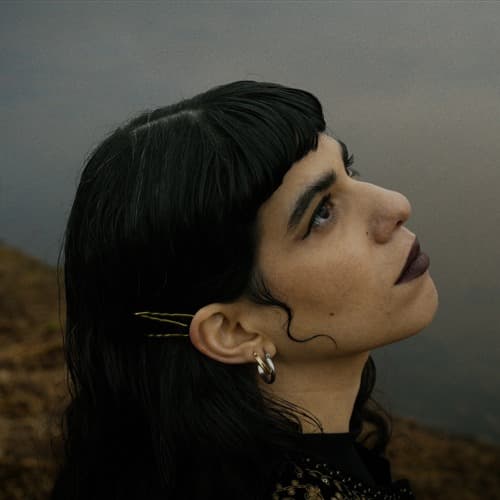 Venus Volcanism Profile Image