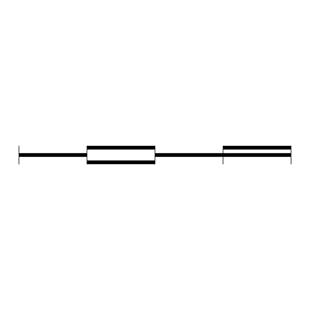 Baransu Profile Image