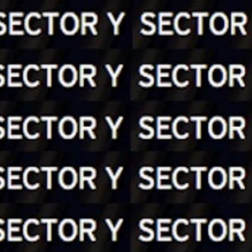 Sector Y portrait