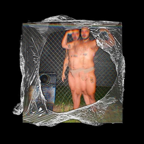 Turito