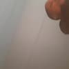 Stew Silencio Profile Image