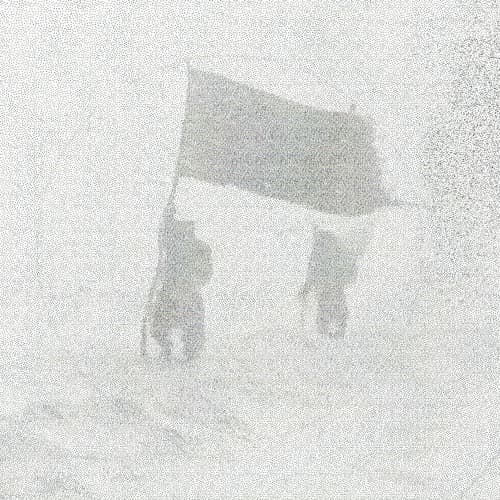 Polar Inertia portrait