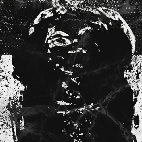 TYPE-O RISK SYSTEM portrait