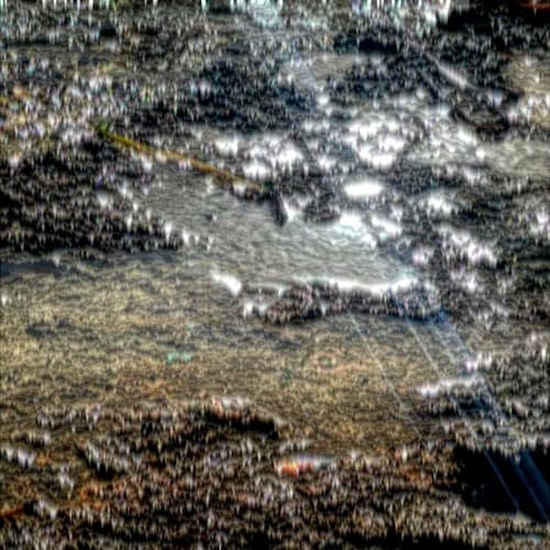 7Astris portrait