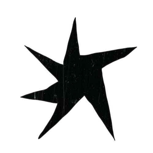 Daniel Elfassy Profile Image