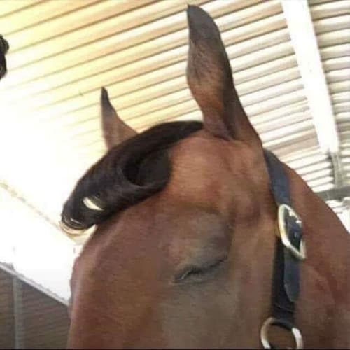 JEAH Profile Image