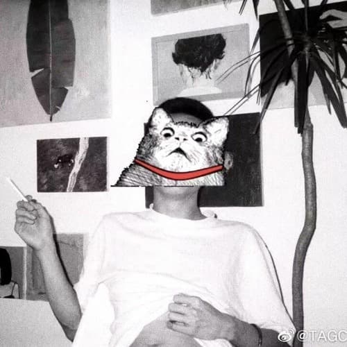 XING (CN) Profile Image