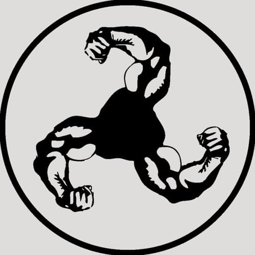 Bicep portrait