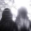 Longhair Profile Image