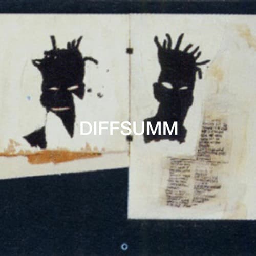 DIFFSUMM portrait