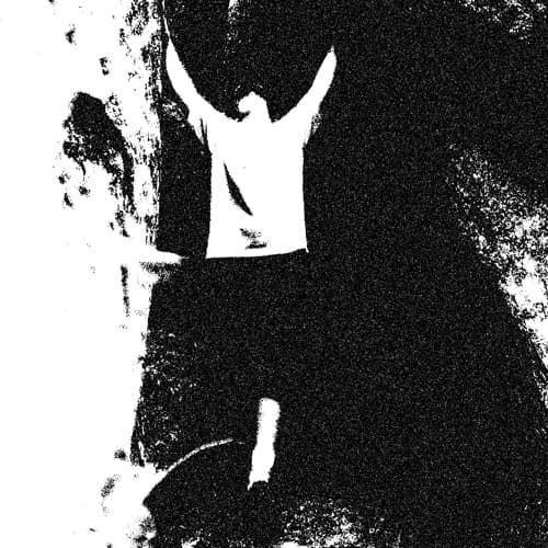 Portrait of Discobasis