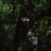 Prieste5s Profile Image
