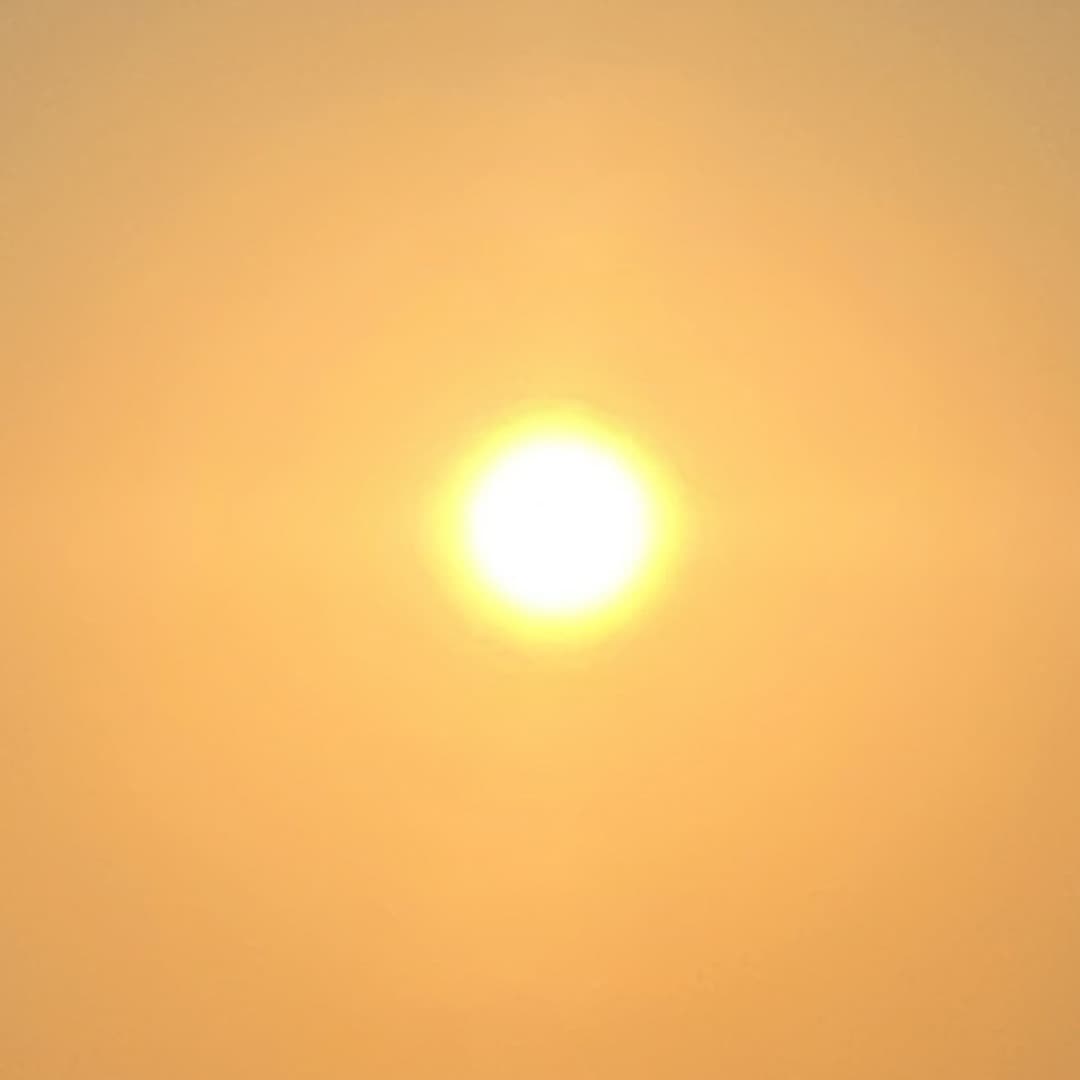Monurga Profile Image