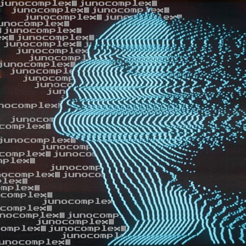 Junocomplex portrait
