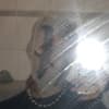 Hatechild. Profile Image