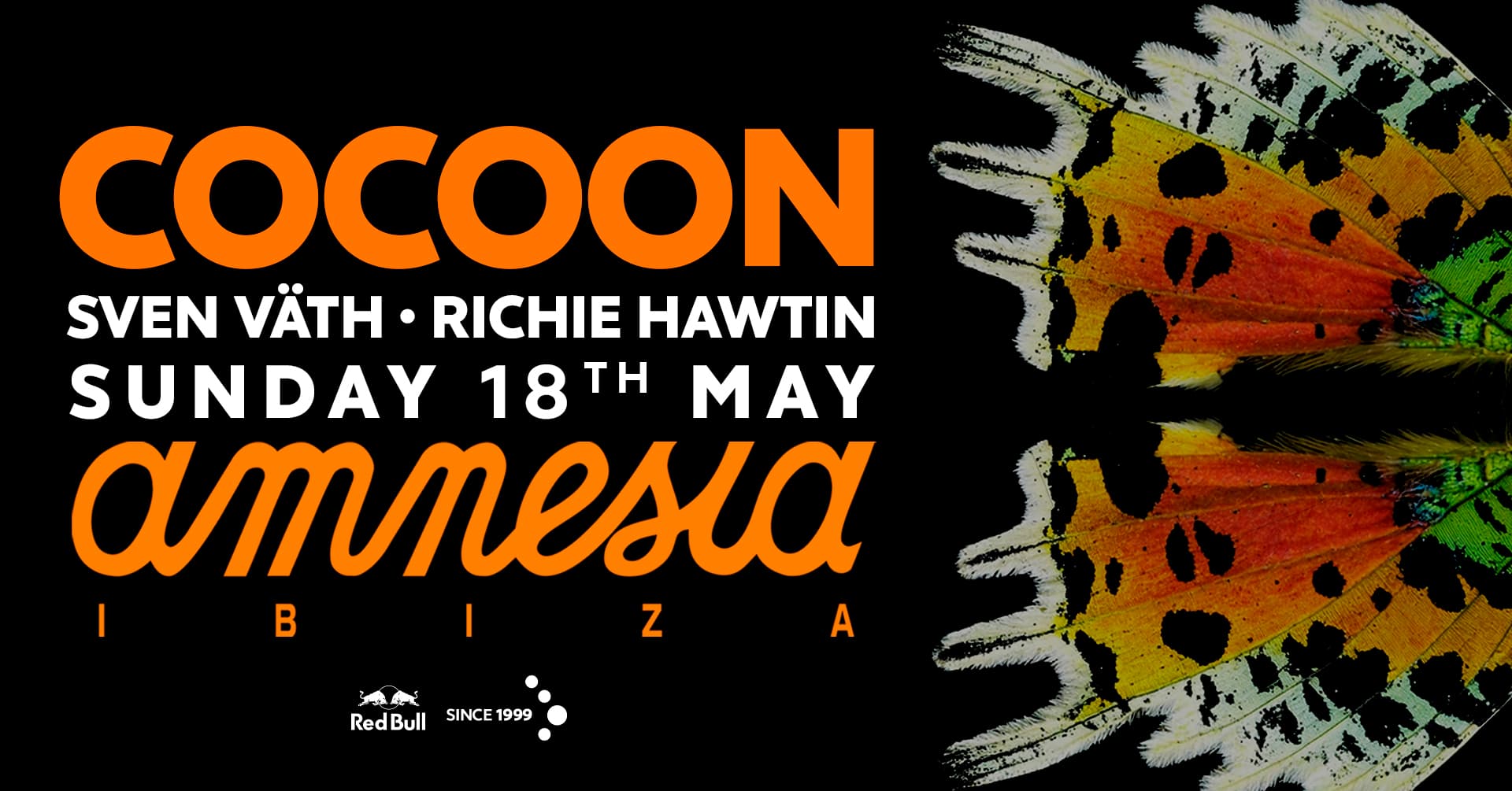 Cocoon Amnesia 2025