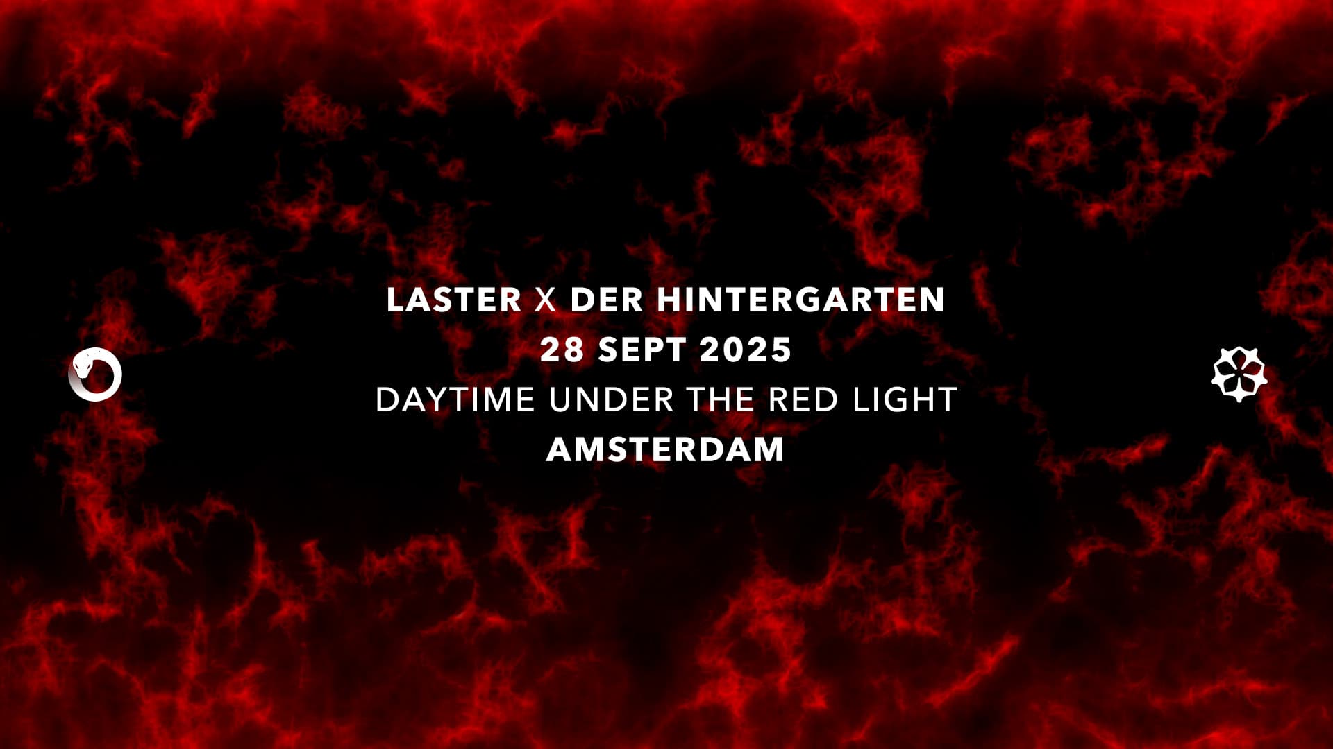 LASTER x Der Hintergarten