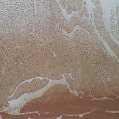 Gymnasium presents Goldffinch & Taneli Plus Support event artwork