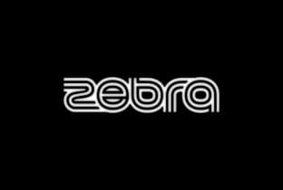 Zebra Club Bacau venue image