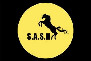 S*A*S*H logo