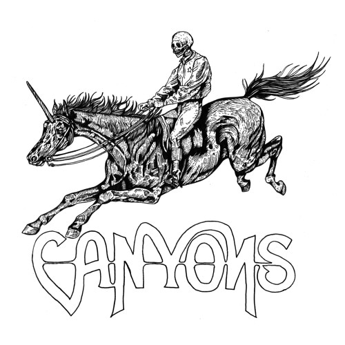 Portrait of Canyons