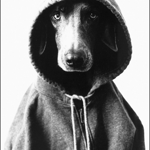 Portrait of Suciu