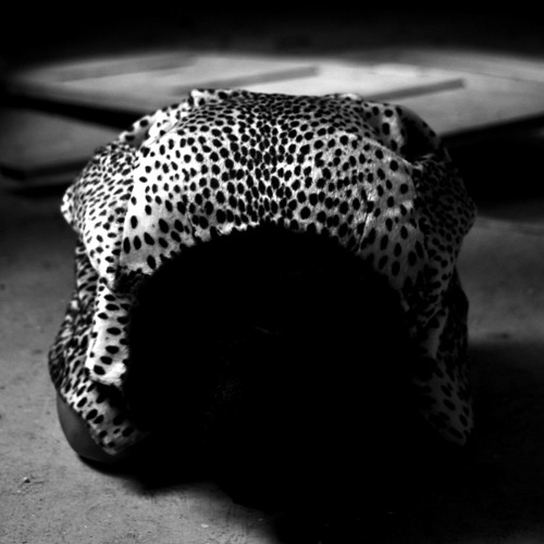 Portrait of Paka