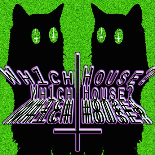 Portrait of Wh1ch House?