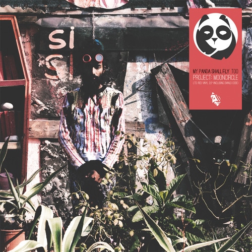Portrait of My Panda Shall Fly