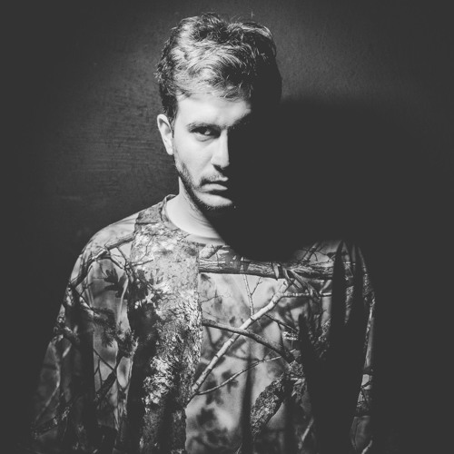 Portrait of Swoosh