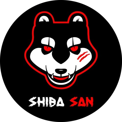 Portrait of Shiba San