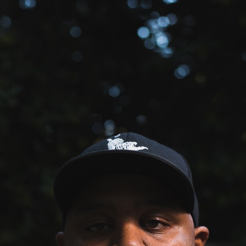 Portrait of Oak City Slums
