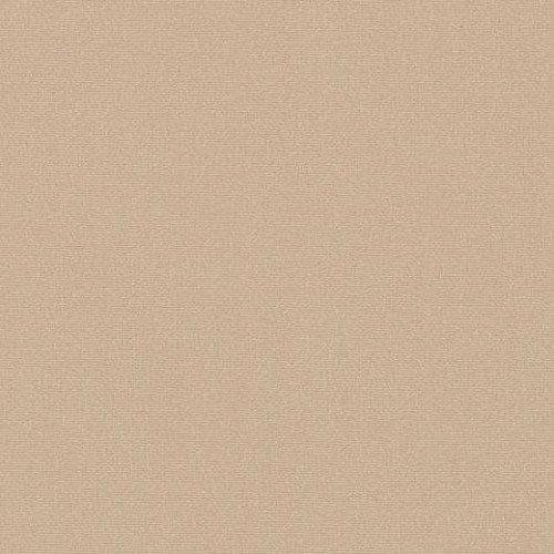 Portrait of BEIGE