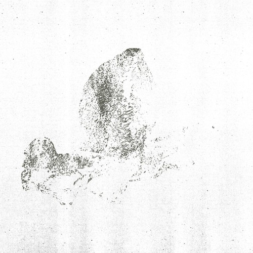 Portrait of Cintas de Cárdenas