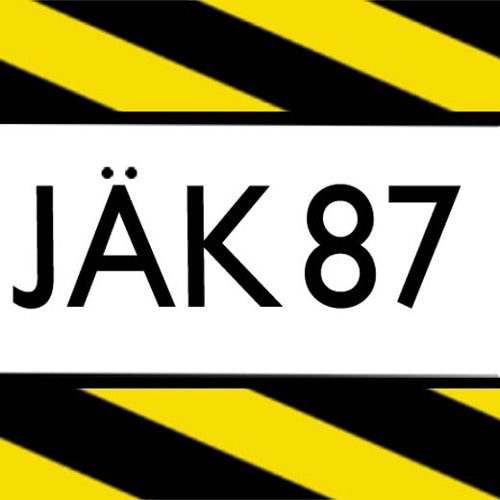 Portrait of JÄK-87