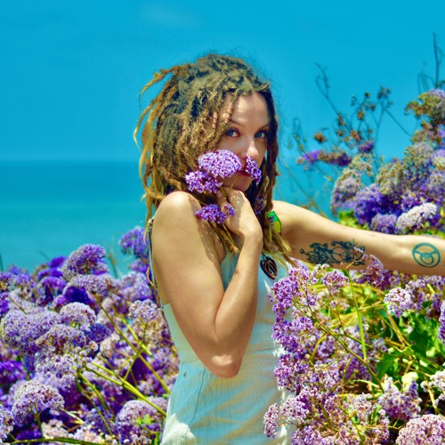 Portrait of Lavender Fields