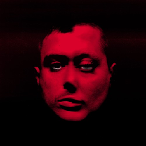 Portrait of TOOTHTAXI