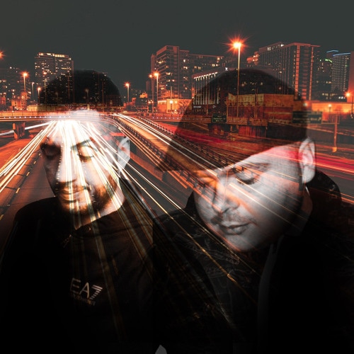 Portrait of Hybrid Theory
