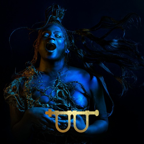Portrait of Lotic