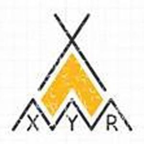 Portrait of X.Y.R.
